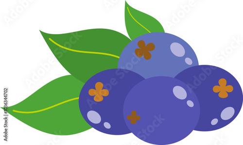 Blueberry Fruits Illustration