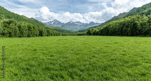 Lush green meadow with majestic mountains in the background