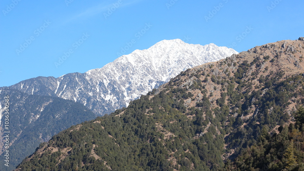 Naklejka premium snow covered mountains