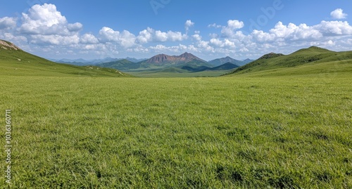 Scenic mountain landscape with green meadow