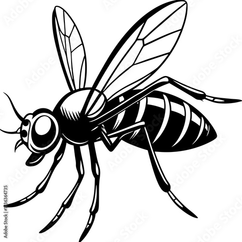 black wasp isolated on white