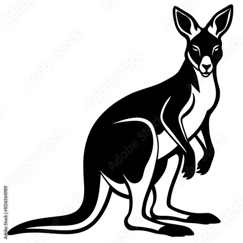 kangaroo illustration