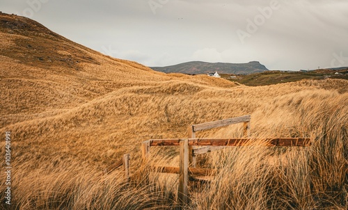 Fototapeta Naklejka Na Ścianę i Meble -  Scenic view of golden grassy dunes with a wooden fence and distant mountains under a cloudy sky