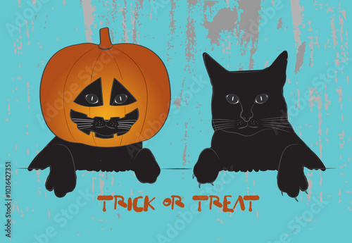 Graphic of two black cats, one cat with pumpkin placed on it's head