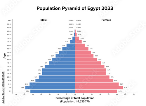 Population pyramid of Egypt 2023. Age structure diagram and graphical illustration of the distribution of over 114 million people, divided into females and males, quoted in percent and 4-year steps.