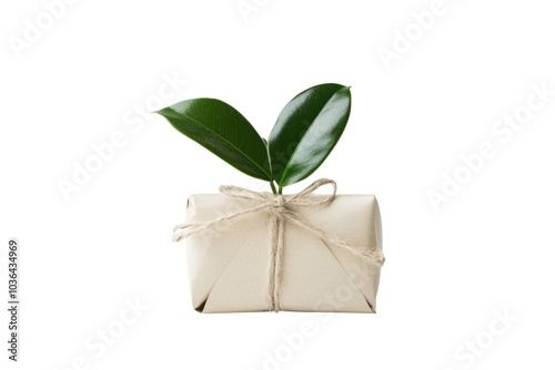 Plant-based gift isolated on transparent background,PNG image. photo