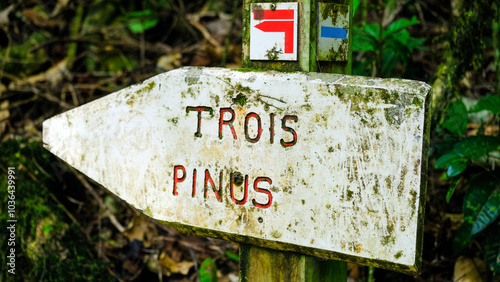 The Three Pines Trois Pinus walking trail signpost in forest of Moorea Island, French Polynesia