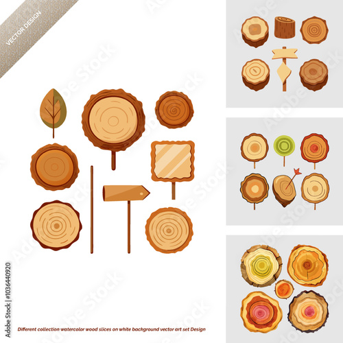 Different collection watercolor wood slices on white background vector art set Design