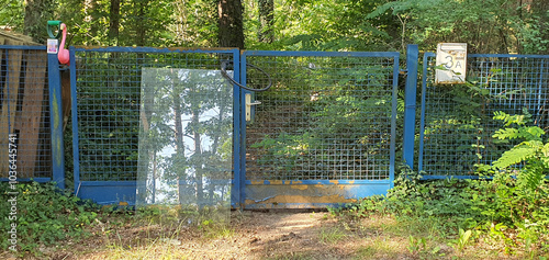 Spiegel im Wald
