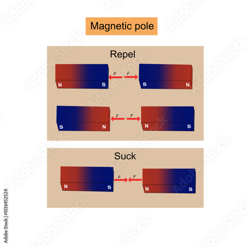 The same magnetic poles will reple and different magnetic poles suck