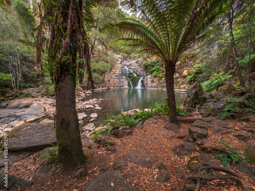 Forth Falls Tasmania