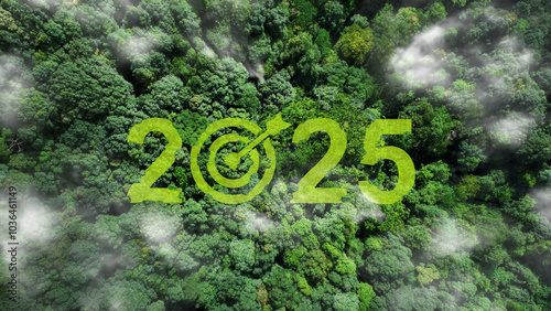 2025 New Year Goal and Green Business Planning and Development for Sustainable Environmental Goals.2025 symbol and target on green grass in the forest.New Goals, Plans, and Visions for Next Year 2025