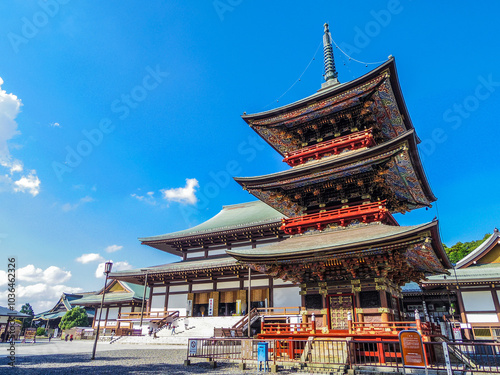 【千葉県】成田山新勝寺の大本堂と三重塔