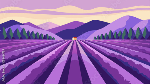 With rows of perfectly manicured lavender this countryside field resembles a work of art in its symmetrical beauty.
