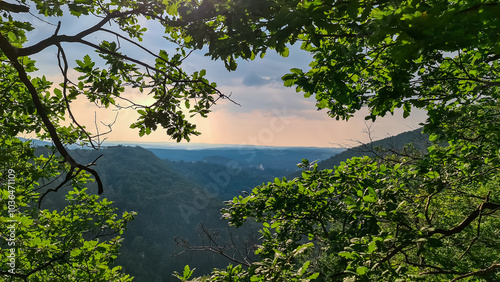 Scenic view of Schloss Herberstein in Stubenberg, Styria, Austria. Historic castle nestled amidst lush green forests. Surrounding rolling hills covered in dense foliage. Seclusion and tranquility photo