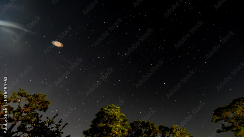 Fototapeta premium Night October Skies in Orange Beach, Alabama, Moon, Stars, Trees