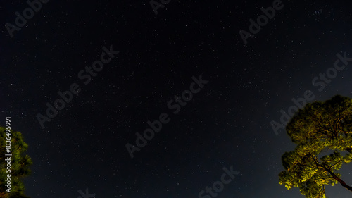 Night October Skies in Orange Beach, Alabama, Moon, Stars, Trees