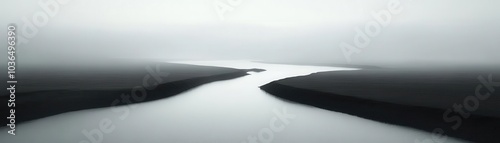 Artistic black and white landscape of a foggy forest, Nature, Mystery