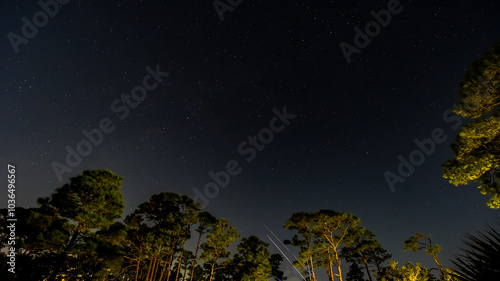 Photography Night October Skies in Orange Beach, Alabama, Moon, Stars, Trees