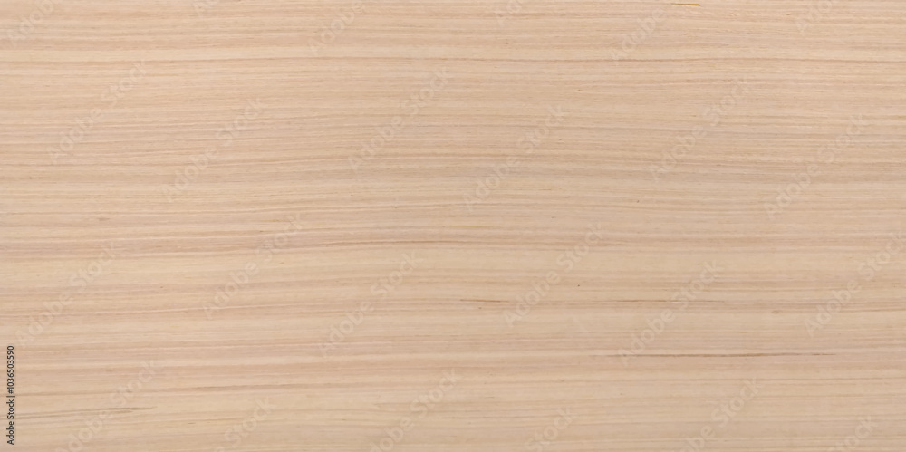 Wood plank to use as background and texture. Taiga birch wood grain texture pattern background Wood plank to use as background and texture. Taiga birch wood grain texture pattern background