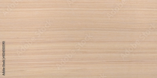 Wood plank to use as background and texture. Taiga birch wood grain texture pattern background