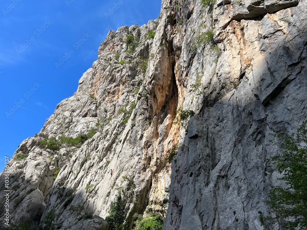 Limestone rocks in Velika Paklenica canyon,Starigrad (Paklenica National Park, Croatia) - Kalksteinfelsen in der Schlucht Velika Paklenica, Starigrad (Nationalpark Paklenica, Kroatien) Limestone rocks in Velika Paklenica canyon,Starigrad (Paklenica National Park, Croatia) - Kalksteinfelsen in der Schlucht Velika Paklenica, Starigrad (Nationalpark Paklenica, Kroatien)