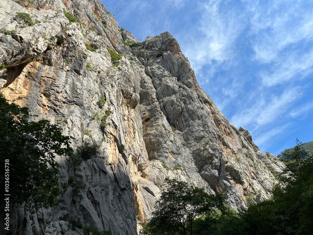 Limestone rocks in Velika Paklenica canyon,Starigrad (Paklenica National Park, Croatia) - Kalksteinfelsen in der Schlucht Velika Paklenica, Starigrad (Nationalpark Paklenica, Kroatien) Limestone rocks in Velika Paklenica canyon,Starigrad (Paklenica National Park, Croatia) - Kalksteinfelsen in der Schlucht Velika Paklenica, Starigrad (Nationalpark Paklenica, Kroatien)