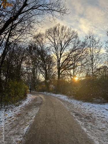 Die Sonne im Winter