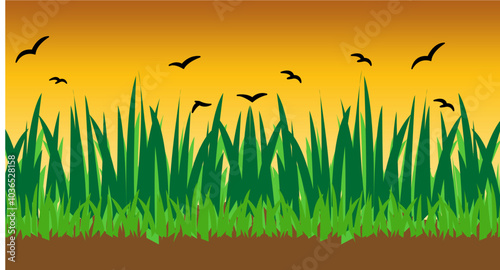 Natural view of green grass and sunset in golden afternoon. With Crow Vector illustration.