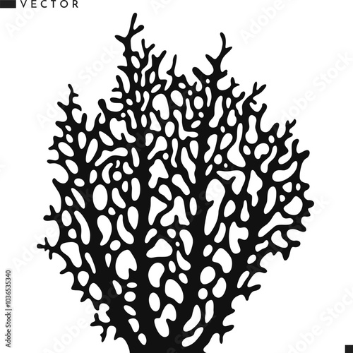 Coral silhouette.  Isolated coral on white background