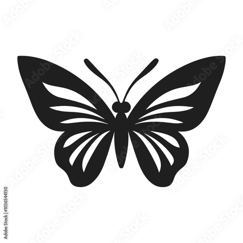 butterfly on white background