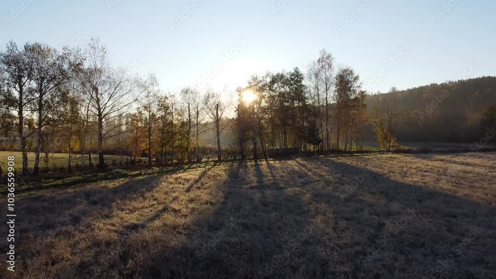 Cold morning on the fields during autumn Cold morning on the fields during autumn