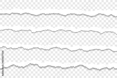 Realistic torn paper strips with transparent background
