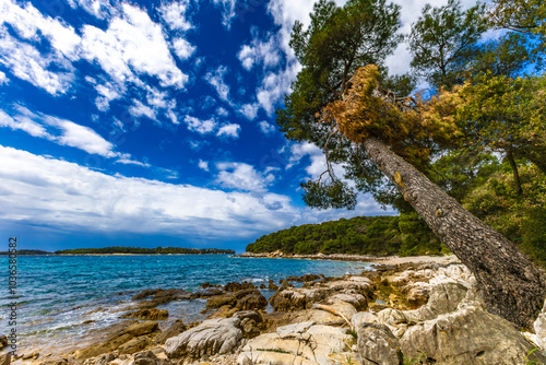 Panorama of the old city of lovers Rovinj, hot summer, ships in the roadstead, photo