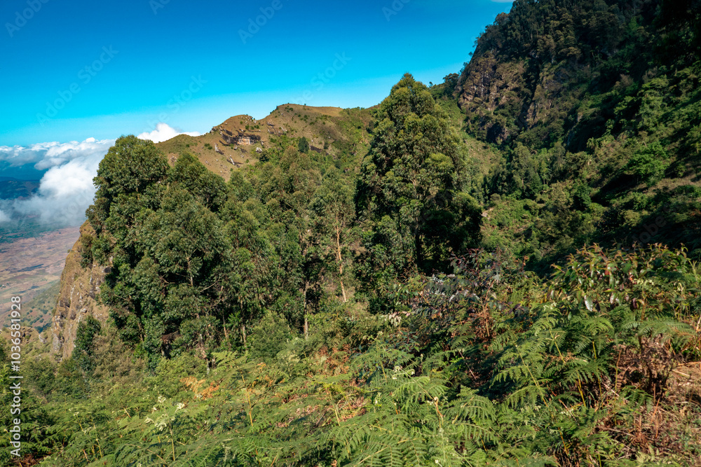 Scenic view of a mountain landscapes at Kwa Mkeka Peak on the Usambara Mountains in Lushoto, Tanga Region, Tanzania
Scenic view of a mountain landscapes at Kwa Mkeka Peak on the Usambara Mountains in Lushoto, Tanga Region, Tanzania