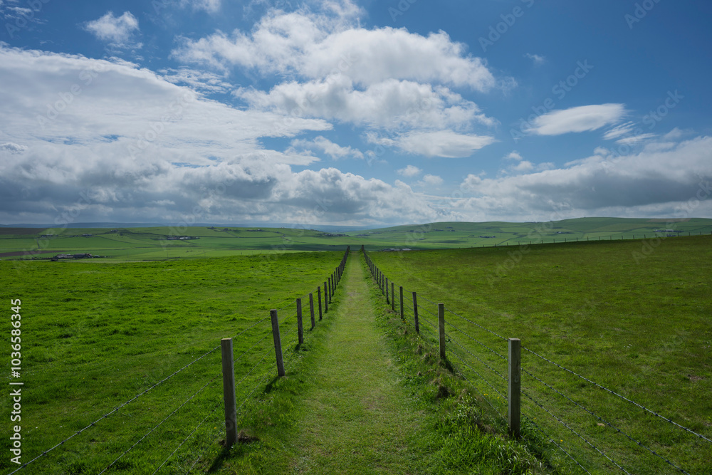 Grass footpath at Marwick head, Orkney, Scotland Grass footpath at Marwick head, Orkney, Scotland