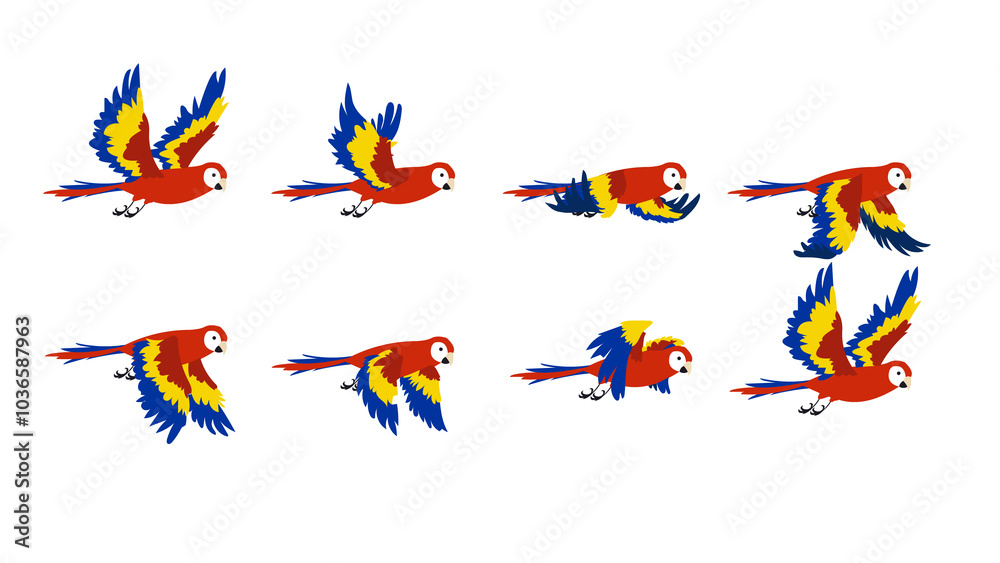 Obraz premium Parrot Fly cycle frame by frame, bird, bird flying animation frame by frame, Royalty free ,bird fly cycle frame by frame
