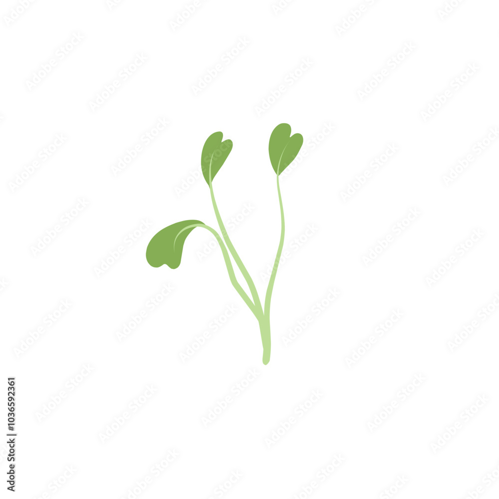 Microgreen Plants Illustration Microgreen Plants Illustration
