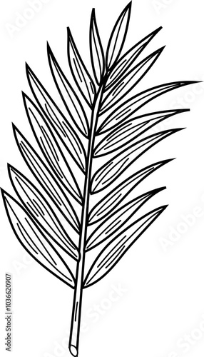 Leaf black and white on white background. Vector illustration.