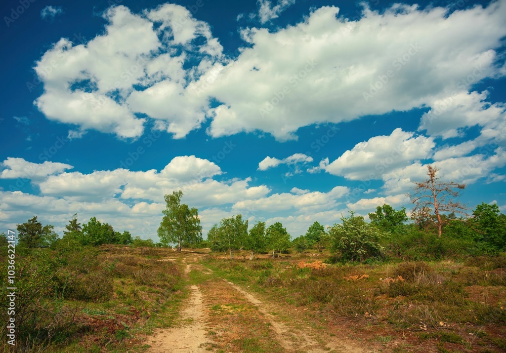 Scenic landscape with dirt path and vibrant sky. Scenic landscape with dirt path and vibrant sky.