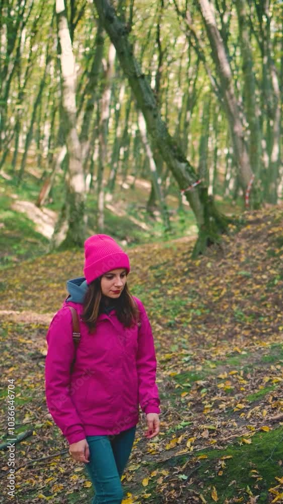 Attractive young woman in a pink jacket, jeans, and backpack walking through an autumn forest, rubbing her hands to keep warm, slow motion Attractive young woman in a pink jacket, jeans, and backpack walking through an autumn forest, rubbing her hands to keep warm, slow motion