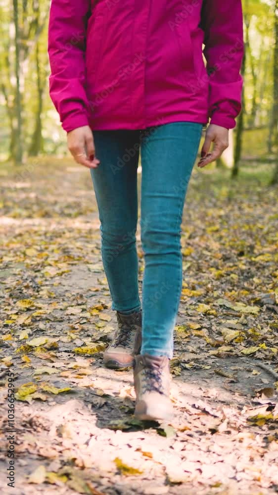 Female legs in jeans and trekking boots walking through an autumn forest,stepping over a tree trunk, low-angle front view, slow motion Female legs in jeans and trekking boots walking through an autumn forest,stepping over a tree trunk, low-angle front view, slow motion