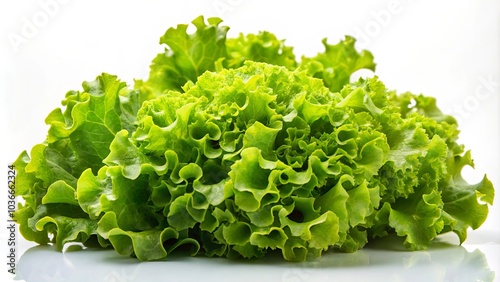 A Cluster of Fresh, Crisp Lettuce Leaves, Ready to Be Added to a Salad or Sandwich