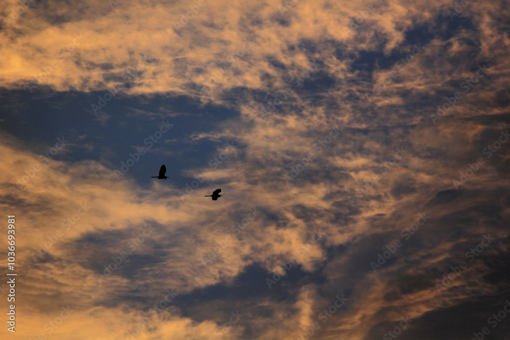 sunrise over the clouds in morning in village in india sunrise over the clouds in morning in village in india