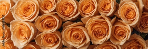 Natural fresh Orange roses flowers background wallpaper