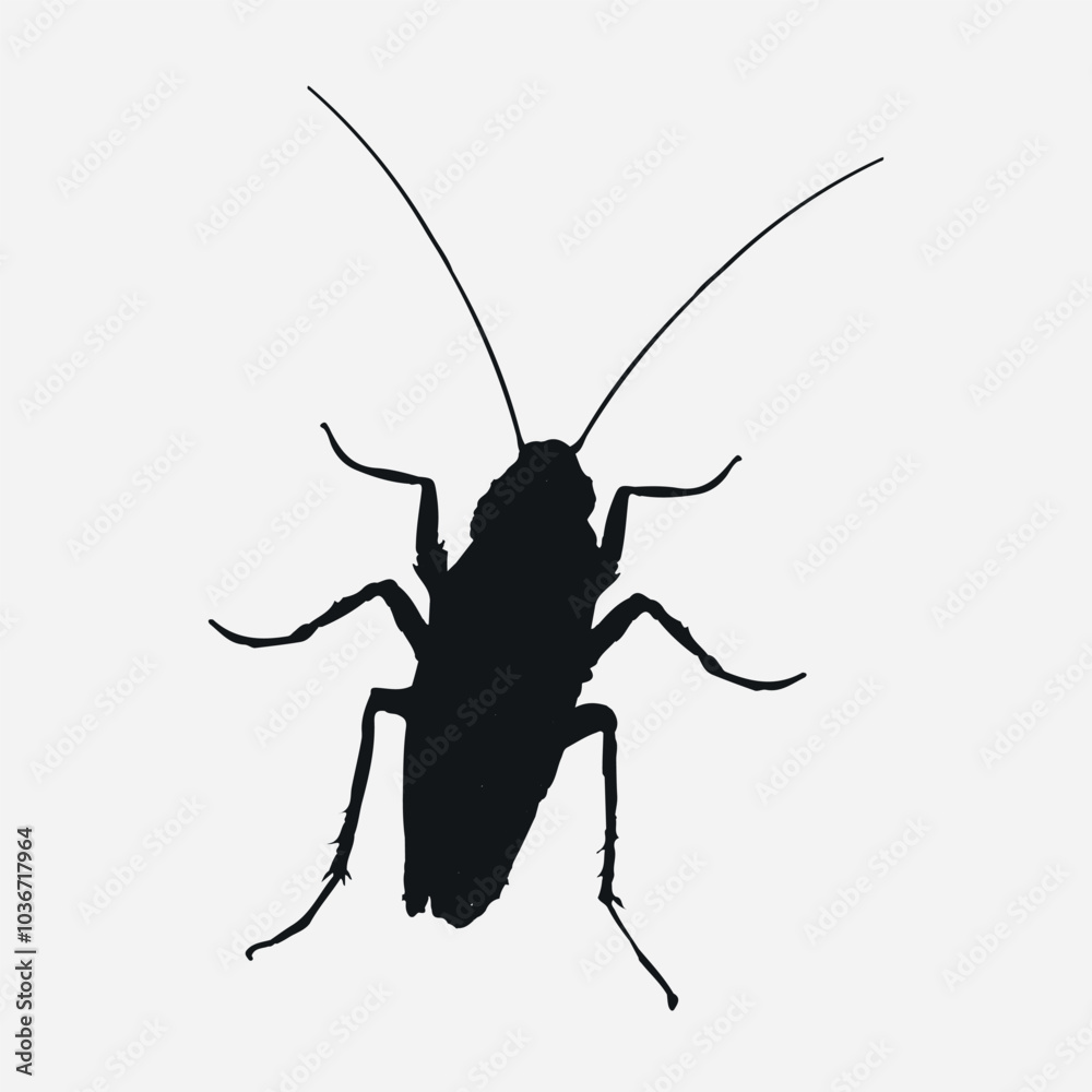 Cockroach silhouette isolated White Background Images Cockroach silhouette isolated White Background Images
