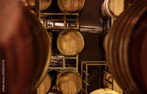 Distillery, cellar and barrels for storage with fermentation, manufacturing or agriculture production. Alcohol winery, viticulture and oak container for liquor in empty sustainable room or warehouse.