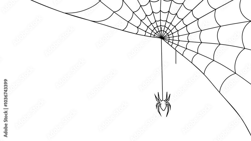 Spider Web Animation on white Background. Sways in the wind Slowly. The Spider insect up and Down on Cobweb in Corner.