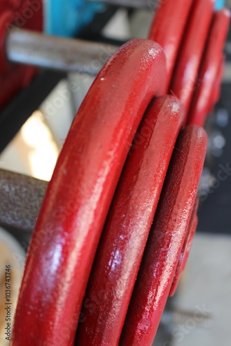 A close up of some red and teal weightlifting dumbells on a rack. 