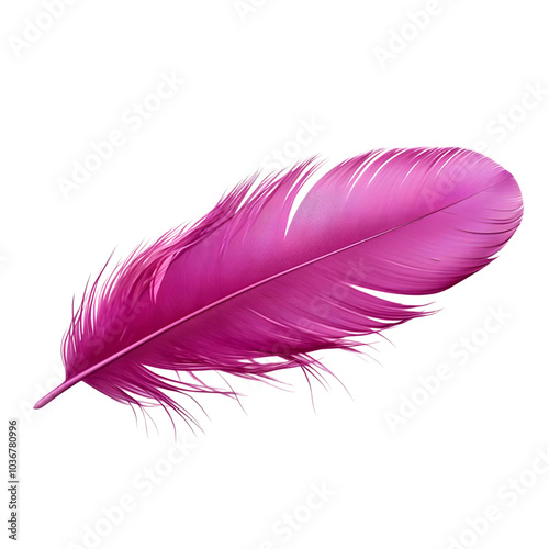 Purple Feather Isolated on a Transparent Background